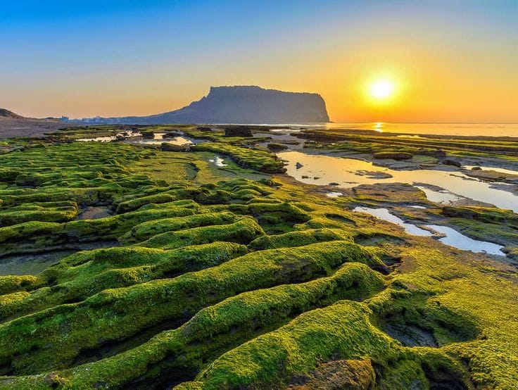 Tour Hà Nội - Hàn Quốc - Jeju (4 ngày 4 đêm)
