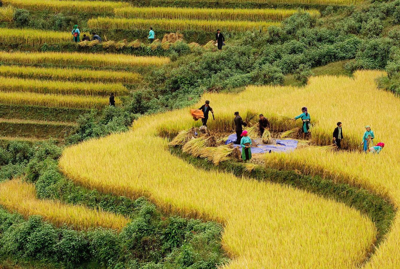 Tour Hà Nội - Sapa - Hà Nội